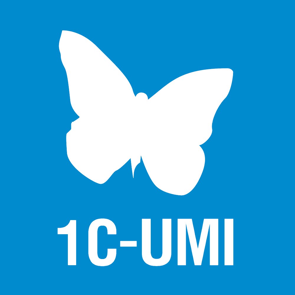 1С-UMI