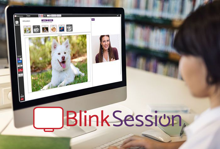 Blink Session программа