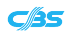 Компьютерные бизнес системы (CBS)