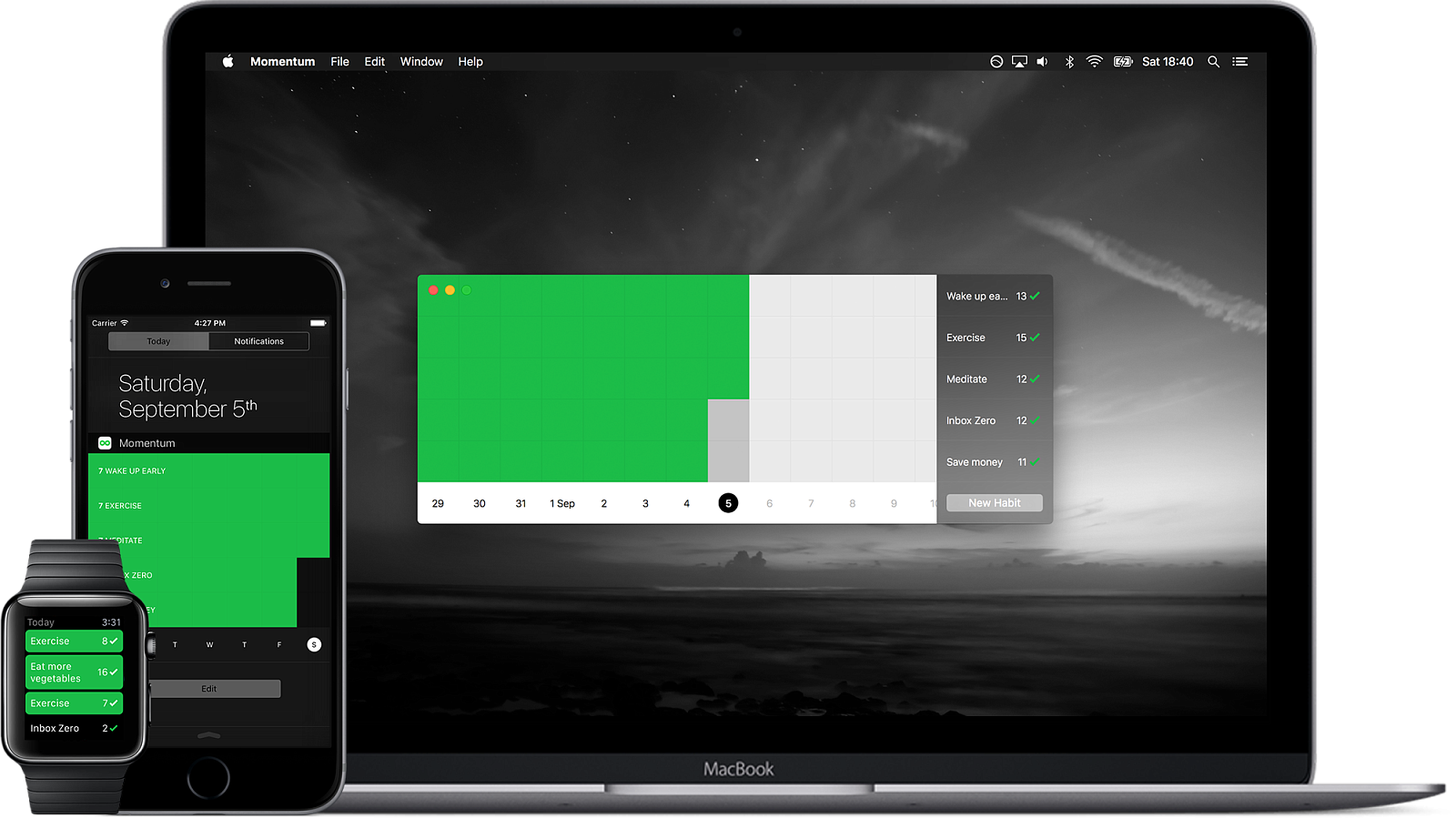 Momentum Habit Tracker ПО