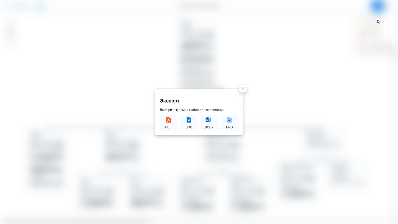Web Master 